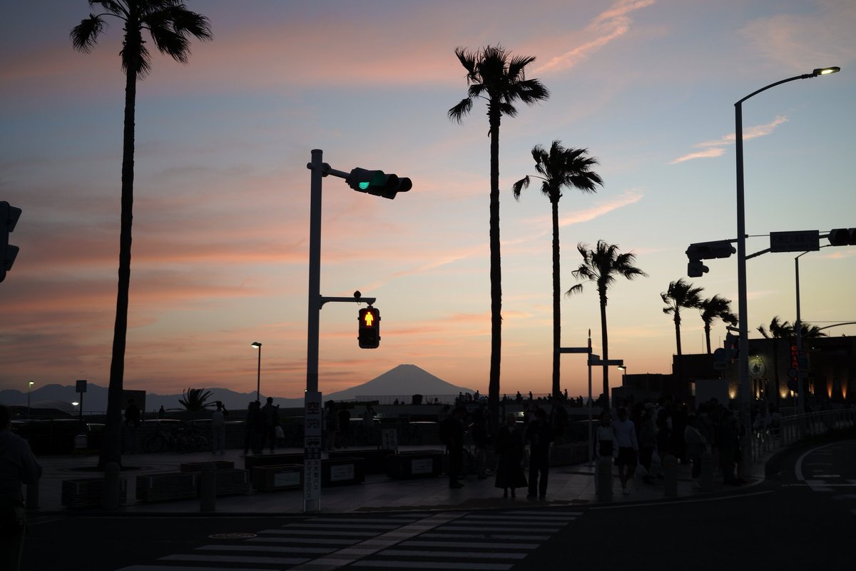 yuji_developer tweet picture