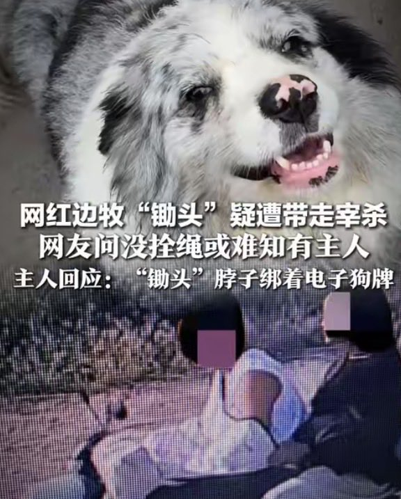 0xZhuya's tweet photo. $锄头
0x41ae12f0f0e3eed778839e6c12d039630e5b4444

Giggle榜一时隔120天买入了此代币，且仍在从币安交易所提现并加仓，锄头被盗案已经正式立案，上一个维权成功的meme是$Pnut

完整叙事⬇️
https://t.co/tu1OgLgYdD https://t.co/zunYJh73Vj