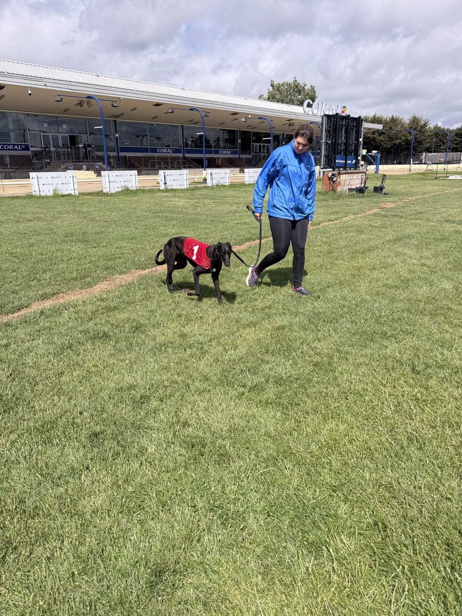 Livi_Noble's tweet photo. Debut for our little lady #WhiteHartWinter 🤍 @RomfordDogs, her classic very slow away today, baulked 1 and 3, but will learn plenty for the experience! 1st from litter to race. Let’s hope she can get a touch more competitive next time 🤞 #BritishBreeding
@daveleeracing https://t.co/ugiM9byNsS