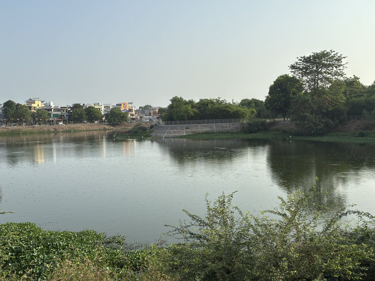 mayank_marvania's tweet photo. @VMCVadodara ગોત્રી તળાવ ખાતે મૃત હાલતમાં       માછલીઓ રહેલ છે જેથી અતિશય દુર્ગંધ ફેલાયેલી છે. તાત્કાલિક ધોરણે નિરાકરણ લાવવા વિનંતી. https://t.co/43v87JZlty