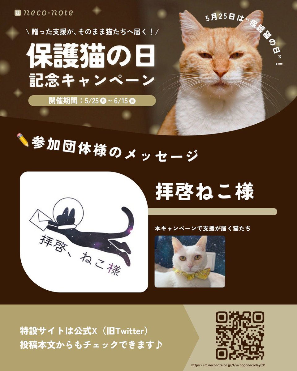 ねこや様☆専用ページ 贈った支援が、そのまま猫たちへ届く！】 5.25 保護猫の日記念
