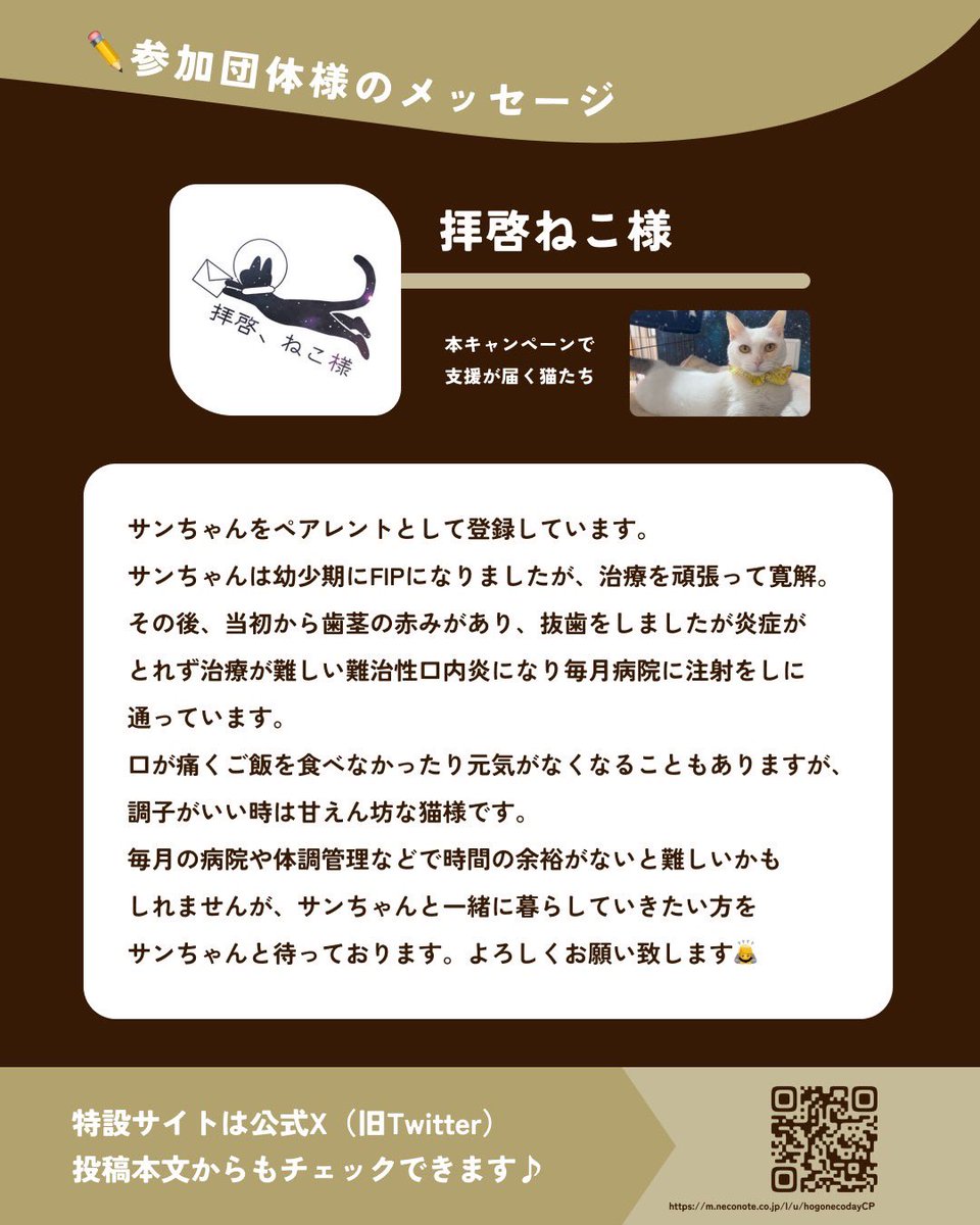 贈った支援が、そのまま猫たちへ届く！】 5.25 保護猫の日記念