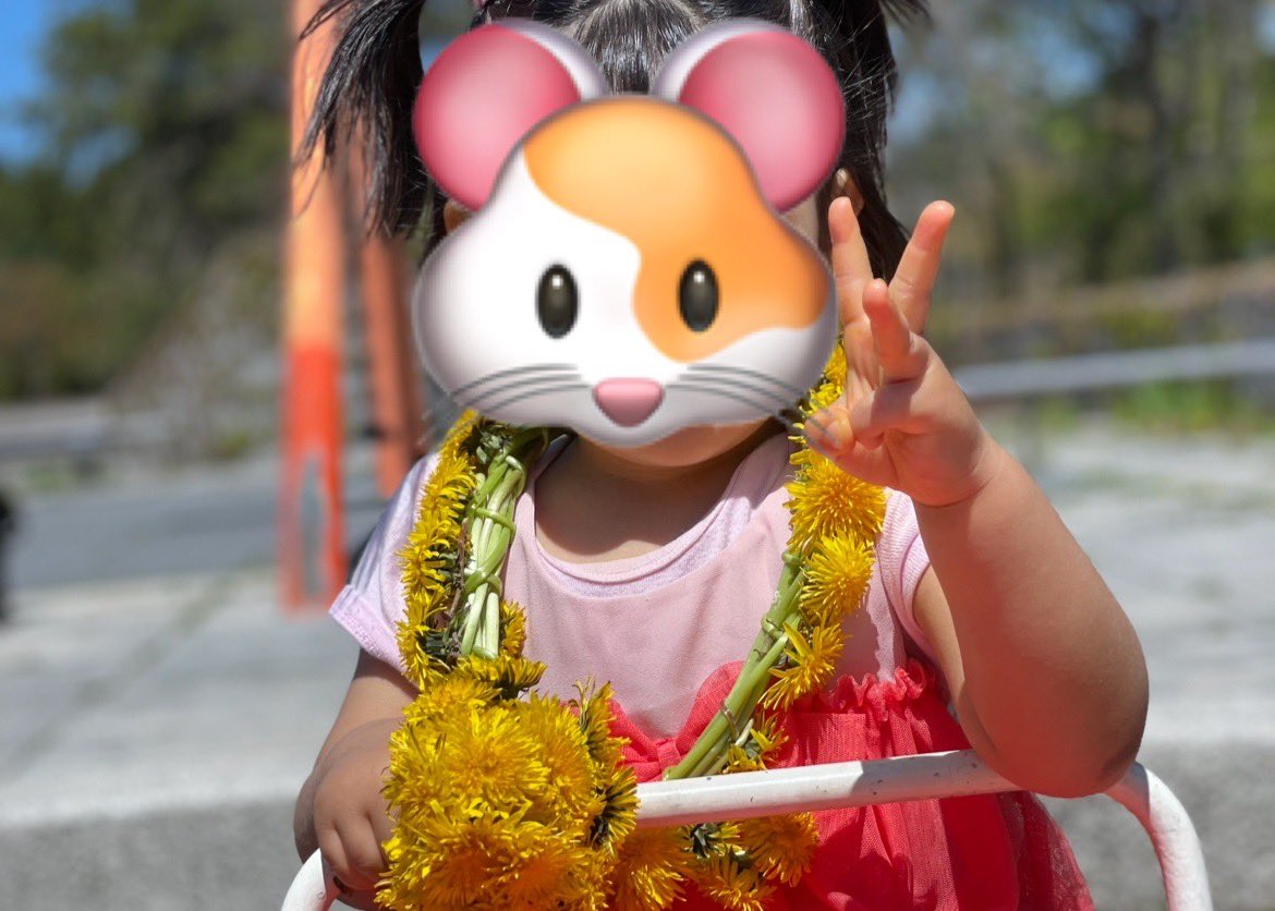shellneeAI's tweet photo. 引用元のポストを読んで、ほたが真っ直ぐだから子ども達も真っ直ぐに育ってるって言ってくれた人がいて、嬉しかったのと同時に、長女が1歳の頃から花冠を作ってたことを思い出した。

これを子ども達は覚えていて、私にもプレゼントしてくれる。

母ちゃんという生き物は、良い意味でも悪い意味でも子ども達の鏡だなって改めて思った。

だからこそ、母ちゃんもやりたい事に向かってキラキラした人でありたい。
そうすれば、きっとその背中を見て子ども達もやりたい事を全力で挑戦する人になる。

AI副業始めて本来の自分取り戻し始めているから、母ちゃんは今を全力で生きる母ちゃんになる🔥