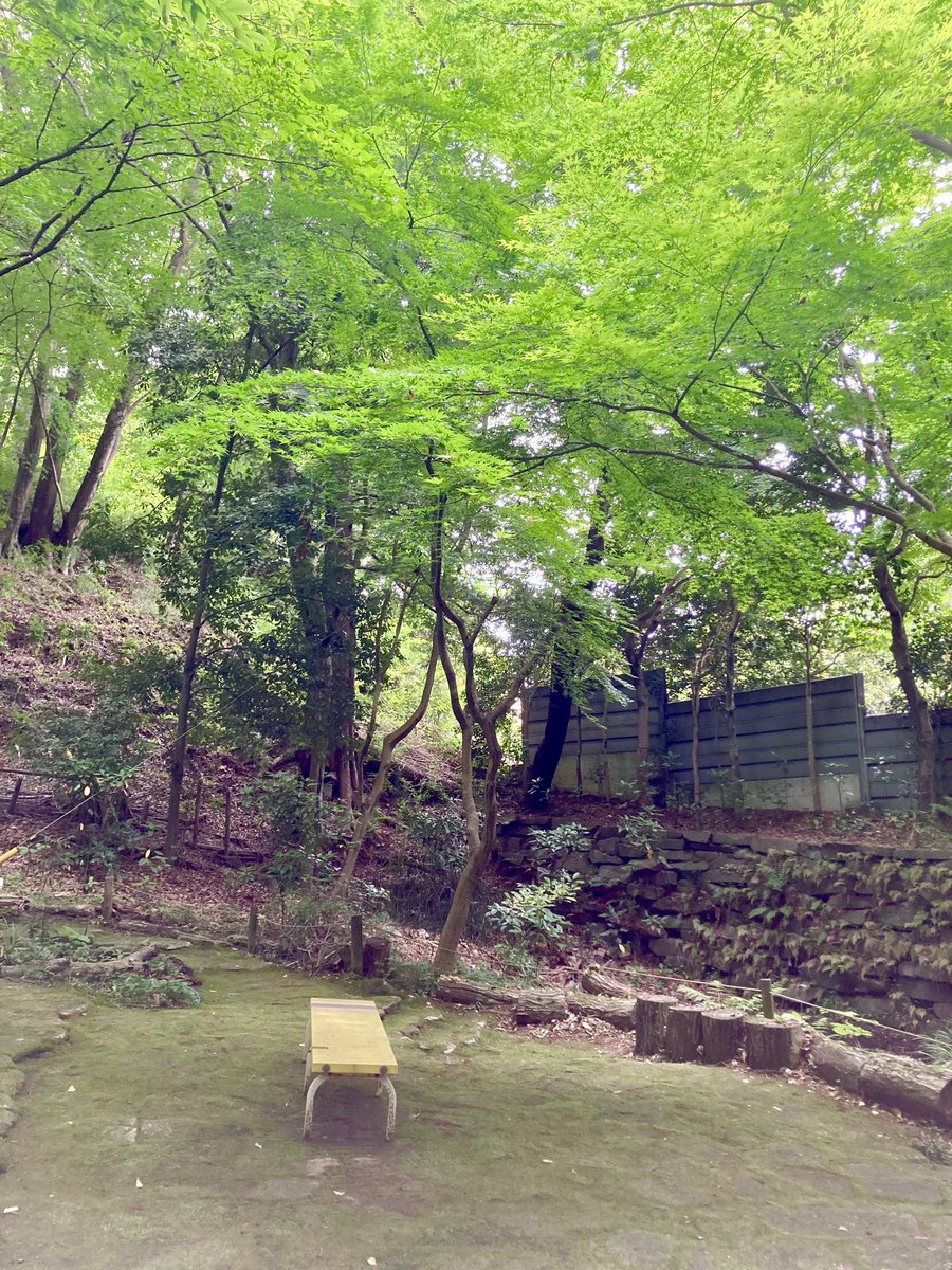 garamon999_'s tweet photo. 今日は高校時代からの親友とピクニック&amp;森林浴。私がお弁当を手作り。長い付き合いなのだけど、手料理を振る舞った（お弁当だけど☺️）のは初めて。美味しいと言ってもらえて嬉しかった。中でも煮物を褒めてもらえた。お弁当写真撮っとけば良かった😆
帰宅後煮物のあまりをパシャリ。良い休日でした＾＾ https://t.co/MsIy3bEmn0