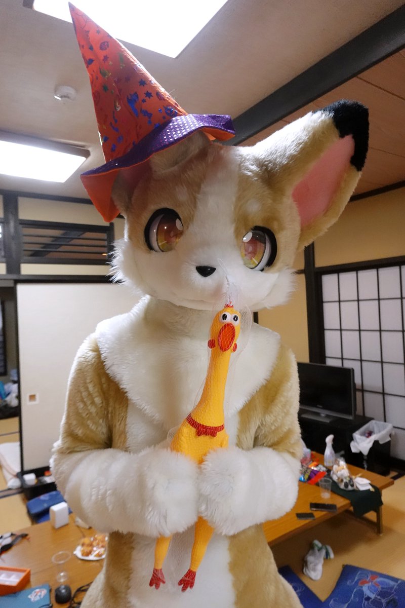 しろきつね📷️/かえで🦊 tweet media