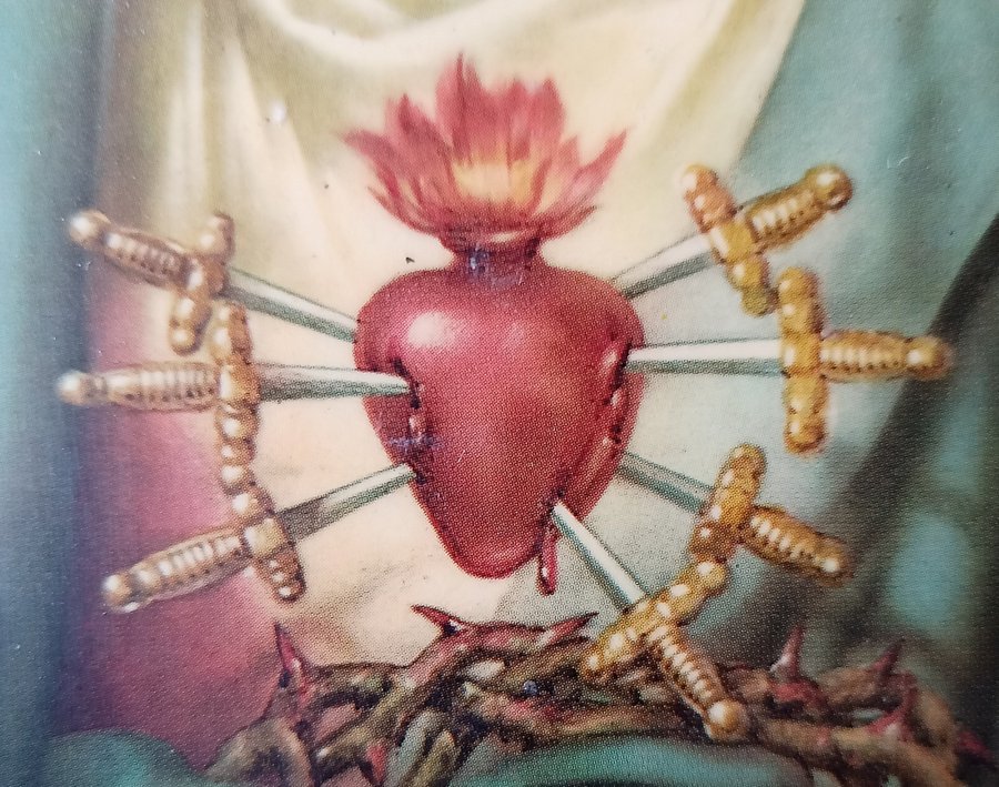 JohnZwicker1's tweet photo. Today
#FirstSaturday
#DayOfReparation
to the #ImmaculateHeartOfMary
REMEMBER: "In the end, My #ImmaculateHeart will triumph"
~ #OurLadyOfFatima
Let us keep it well https://t.co/srtw9rzflk