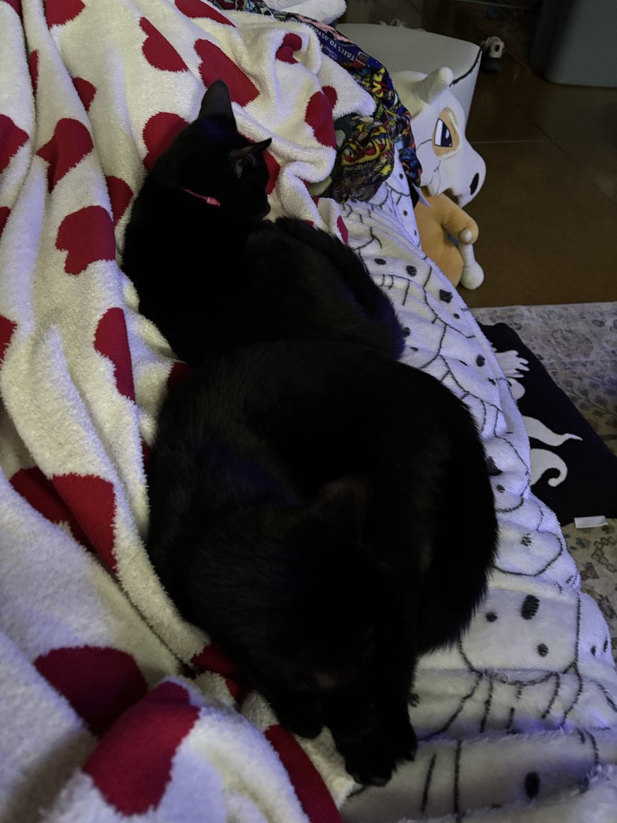 Casey_Haunter's tweet photo. Idk how I’m supposed to get off this couch and go to work right now, reality is a prison https://t.co/oylijgeBHS