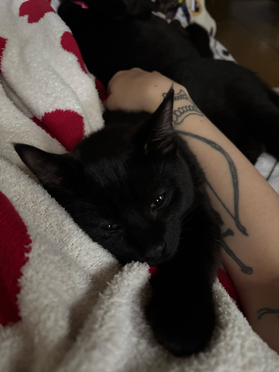 Casey_Haunter's tweet photo. Idk how I’m supposed to get off this couch and go to work right now, reality is a prison https://t.co/oylijgeBHS