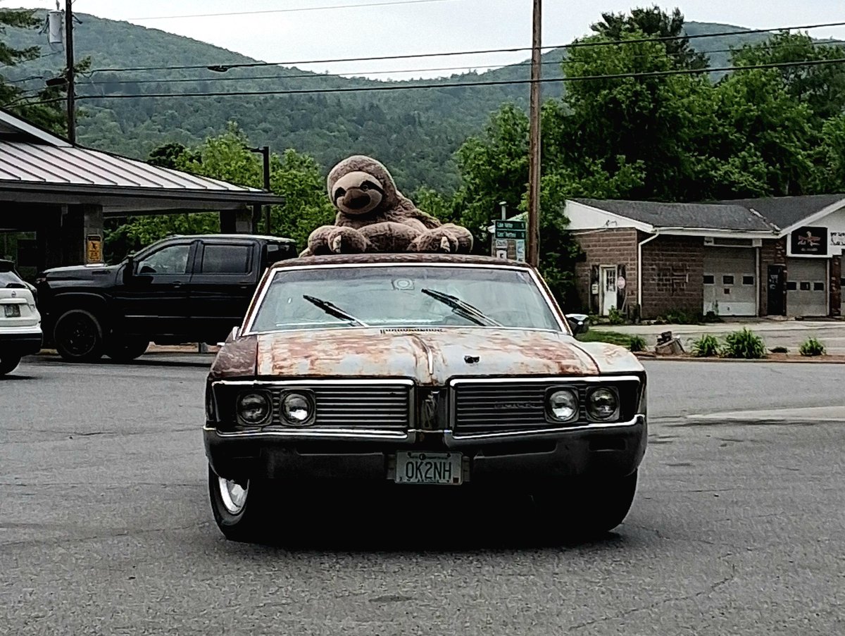 Mymusictrek's tweet photo. Good morning from #Vermont !
#newengland #Vermontlife
#phish #TheSloth #Sloth #rust https://t.co/xz5mYXBnt5