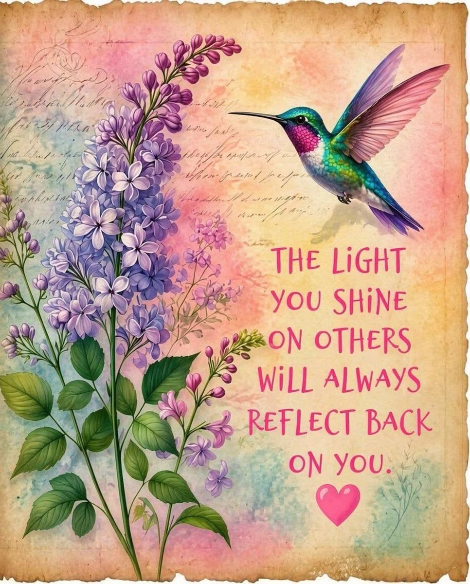 88angel's tweet photo. THE LiGHT YOU SHiNE ON OTHERS WiLL ALWAYS REFLECT BACK ON YOU. #saturday #quotes #quote #inspiration #motivation https://t.co/pzCFIBknHf