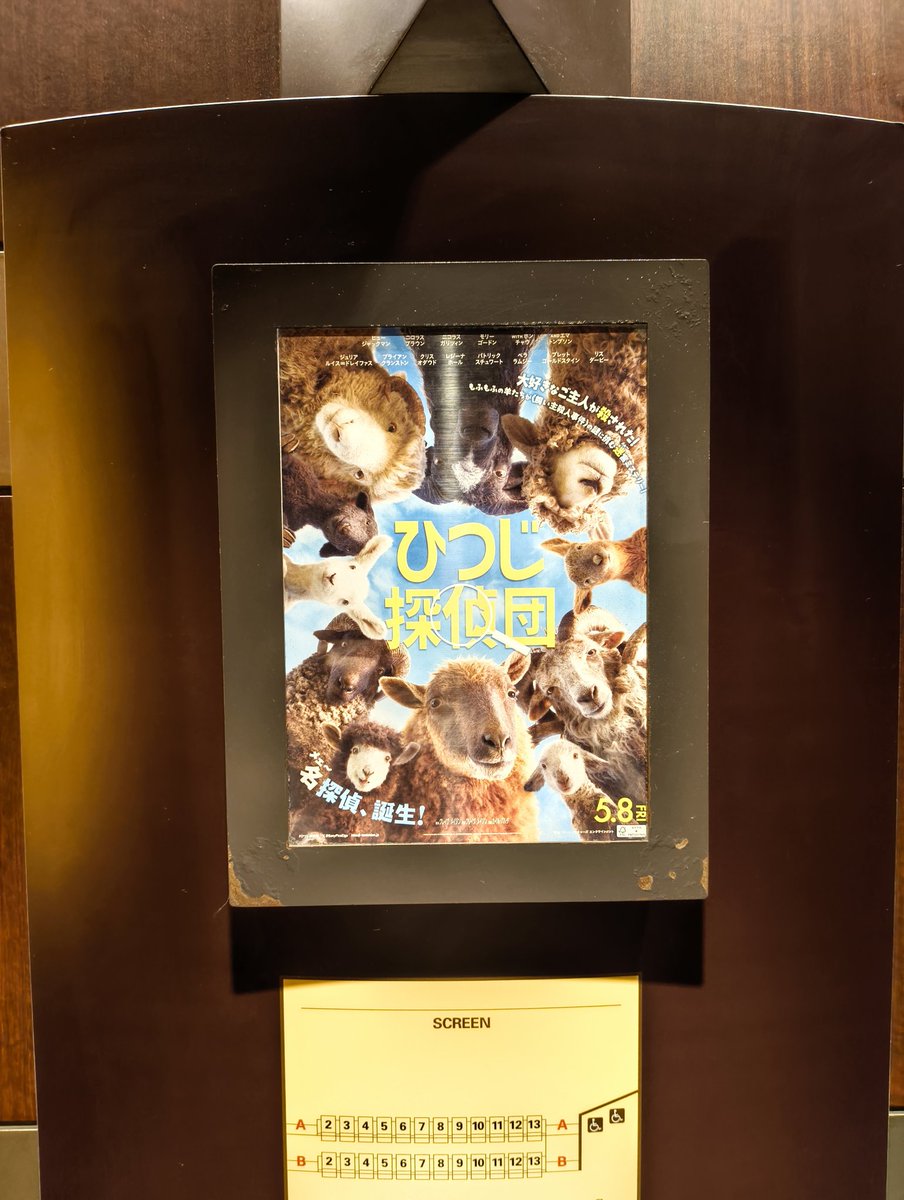 hanamaru73's tweet photo. 🎥はこれを観たよ🐏
レビュー通り、めっちゃ面白かった♥終わりそう？観れて良かったー！
ちょーさん、すぐわかった😆 https://t.co/sqZUkqoaFb