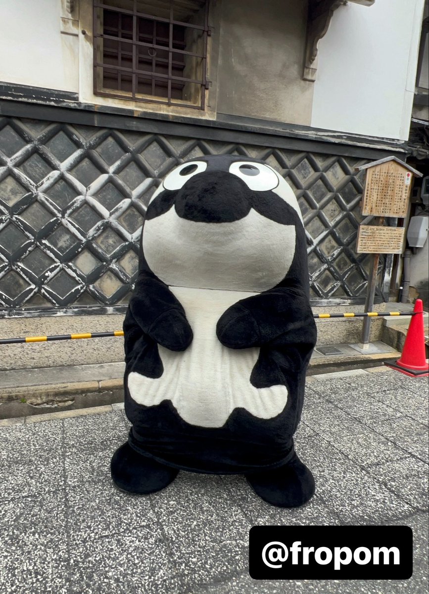 fropom's tweet photo. ポッカレモン音楽隊の演目にちなんでY・M・C・Aのポーズをするグランパスくん。

Y⋯わかる！
M⋯ギリギリわかる！
C⋯わかる！
A⋯えーwww https://t.co/GNwHJgDGyx