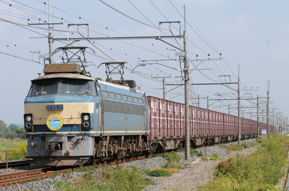 pikacyu652127's tweet photo. #EF66の日
広車公開HMは毎年のお楽しみでしたね。 https://t.co/V4q6kOripb