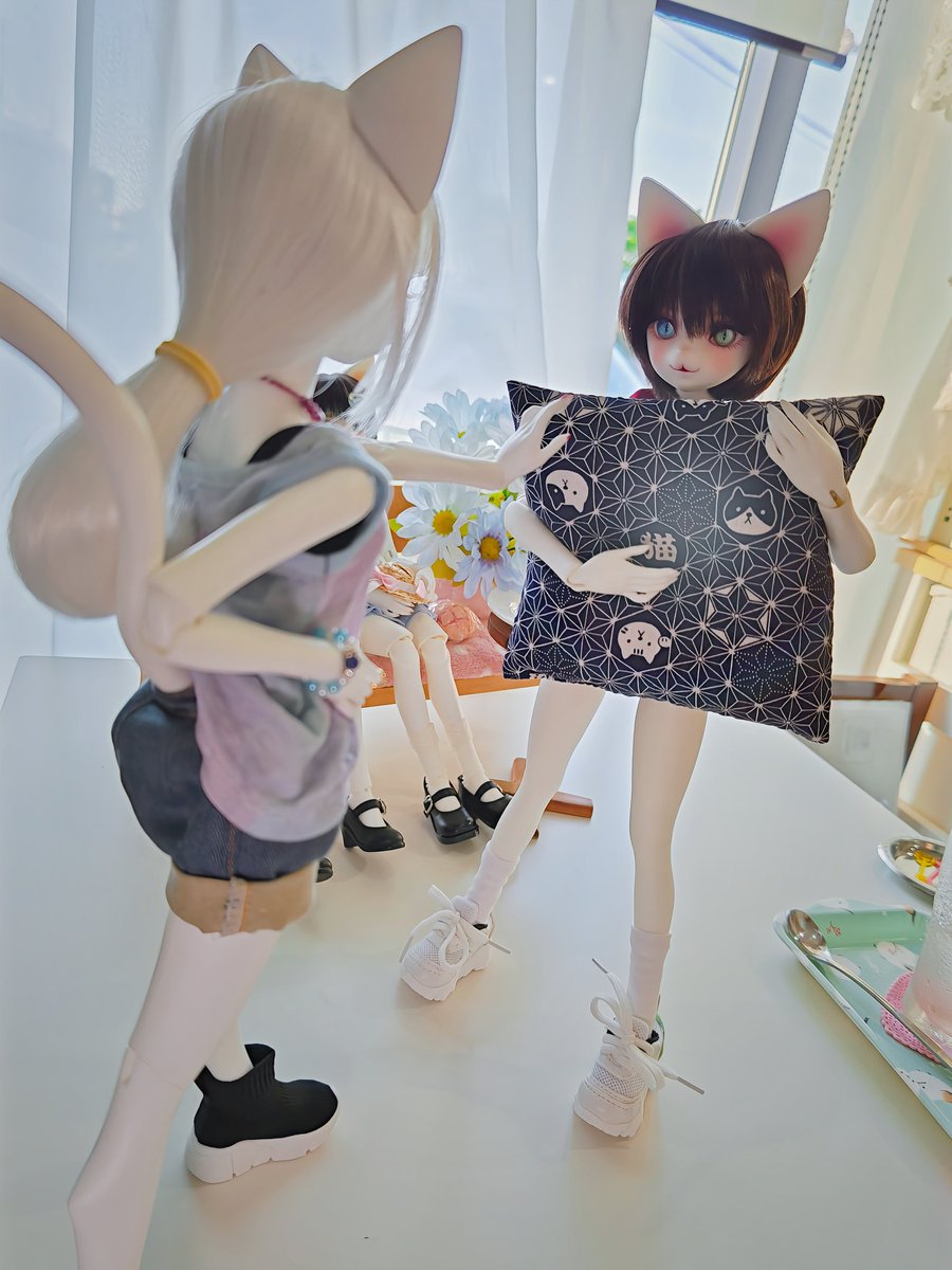 kappa_sinja's tweet photo. ジュリー：ッ!　クロハ!!!
私と小蘭の写真の中に、なに変な感じで写りこんでんだ😾💢！！！
クロハ：ジュリー甘いニャ！！
全ての攻撃を防ぐ、クロハシールド展開😼！！！ https://t.co/cwKoqHMJ1I
