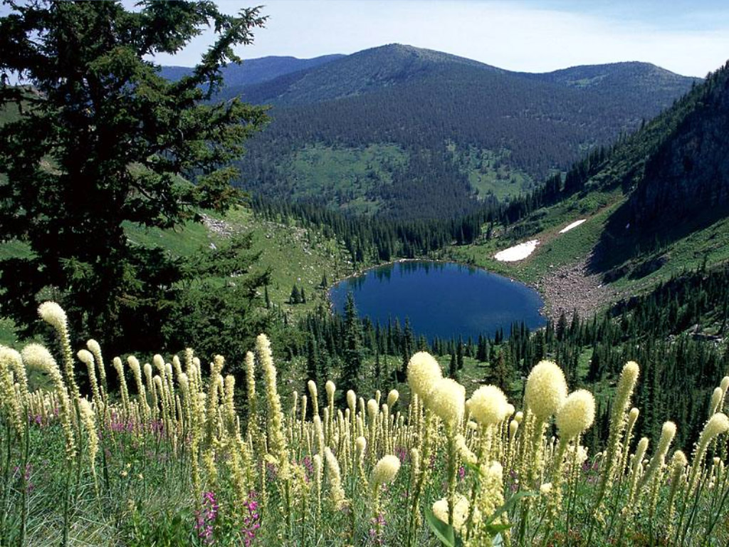 NesreenZ's tweet photo. #Nature https://t.co/f56Ua216a7