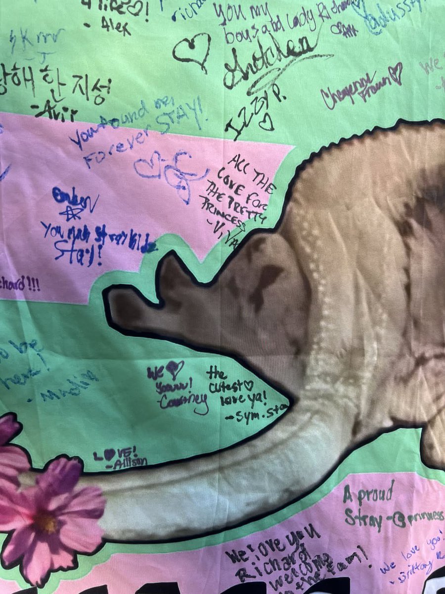 hjspopbase's tweet photo. A fan-made banner dedicated to #HAN Jisung’s pet, Richard has been filled with messages and signatures from Stays and will be brought to Stray Kids Gov Ball performance today https://t.co/V1jhKMXa26