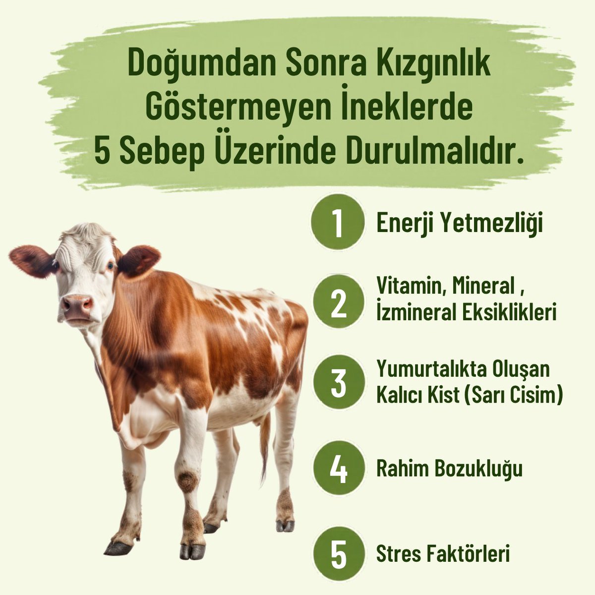 hakankaya_73's tweet photo. #GelecekTarımVeHayvancılıkda
#TarımdaDanışmanlık https://t.co/CMG7tt731U