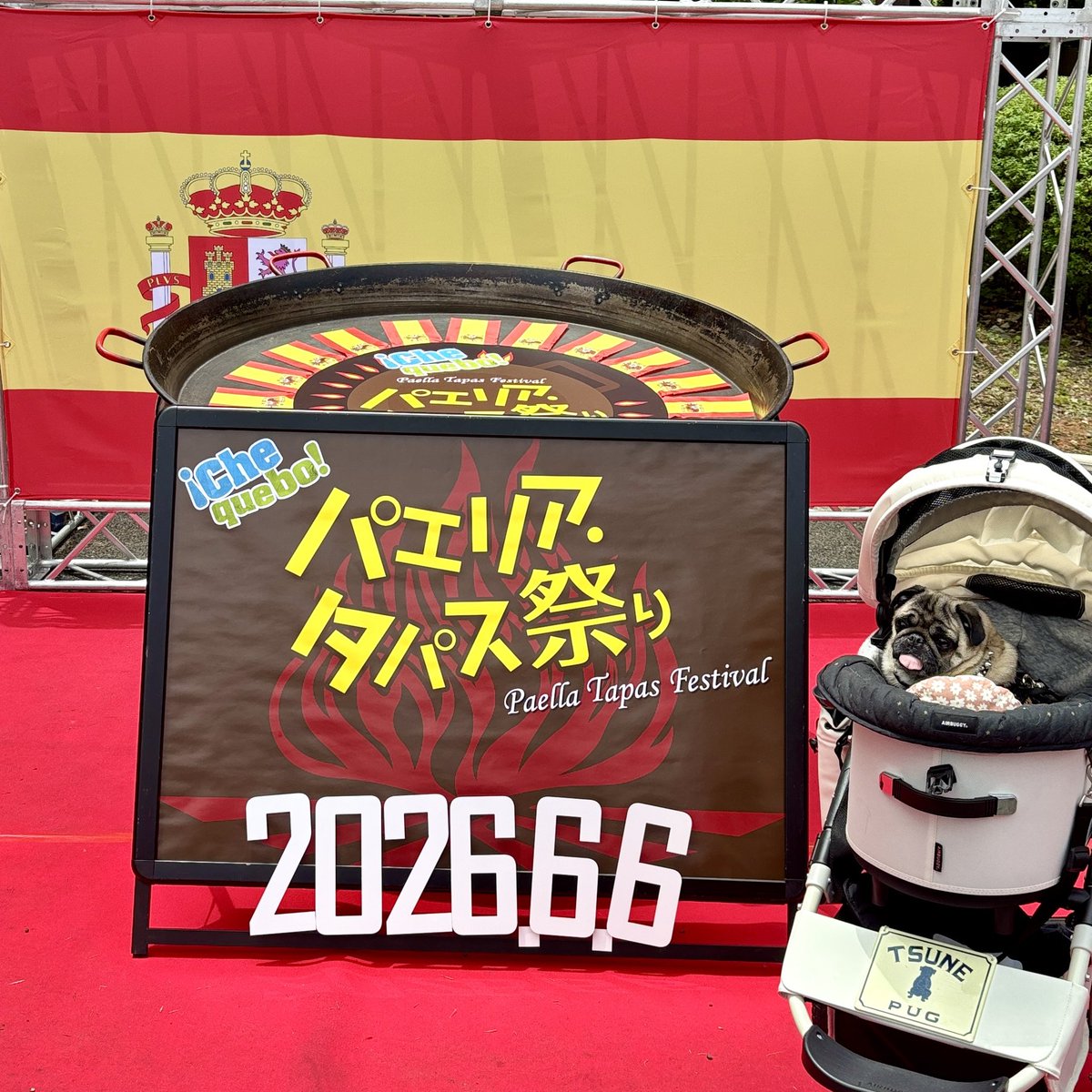 2020_pug_tsune's tweet photo. たのしいたのしいいちにちだっただなぁ。
カーッ！

#パグ https://t.co/BEWaor7L3i