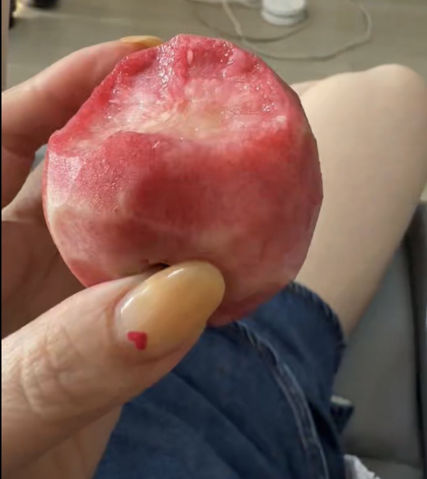 lucylee306's tweet photo. 下午在菅莲湖吃农家饭，路过一片桃林，顺手摘了几个，反正不要钱，没想很好吃啊，有桃子味，后悔摘少了🤭穿短袖也挺受罪，手臂痒死了 https://t.co/rZsyRQrkEv