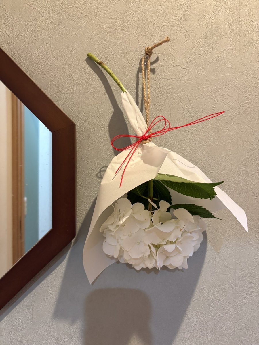 ChatteNoir5's tweet photo. 今までうっかり忘れてタイミング逃してたけど、今年は紫陽花のおまじない出来た〜‹‹\(´ω` )/››
(1:玄関、2:1Fトイレ、3:2Fトイレ、4:余ったやつ) https://t.co/d1lLD3ifM8