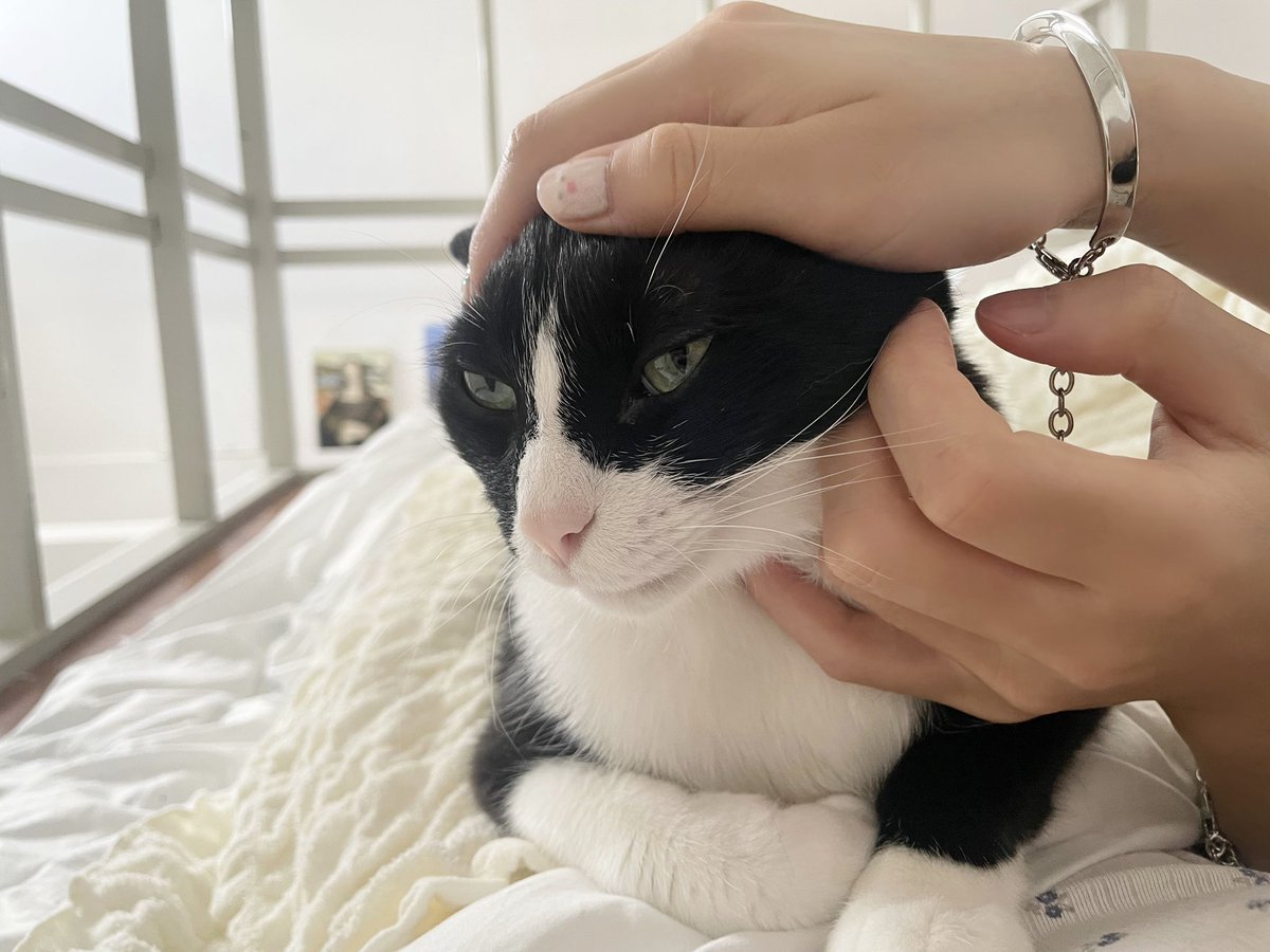 im__not_ok_'s tweet photo. ずっと憧れだったペアアクセサリー⋆˙⟡
恋人と選んだ時間も楽しかったし、離れててもそばにいてくれているようで嬉しい。
”お揃い”とか”記念“とかが大好物な私の気持ちを大切にしてくれていつもありがとう~~
#tsui #ad https://t.co/34kzMwalZb