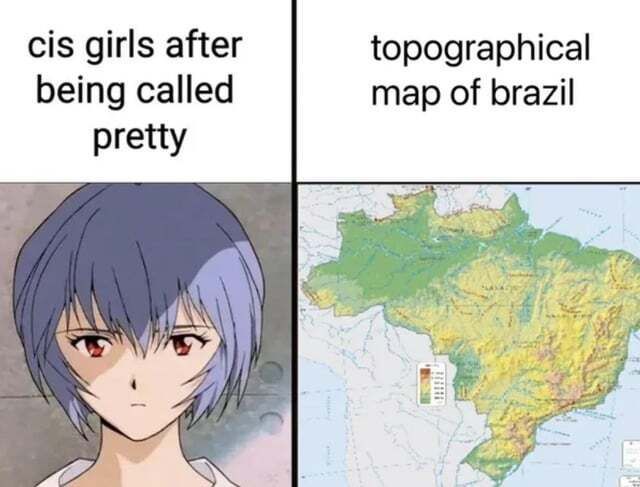 literal memes tweet media