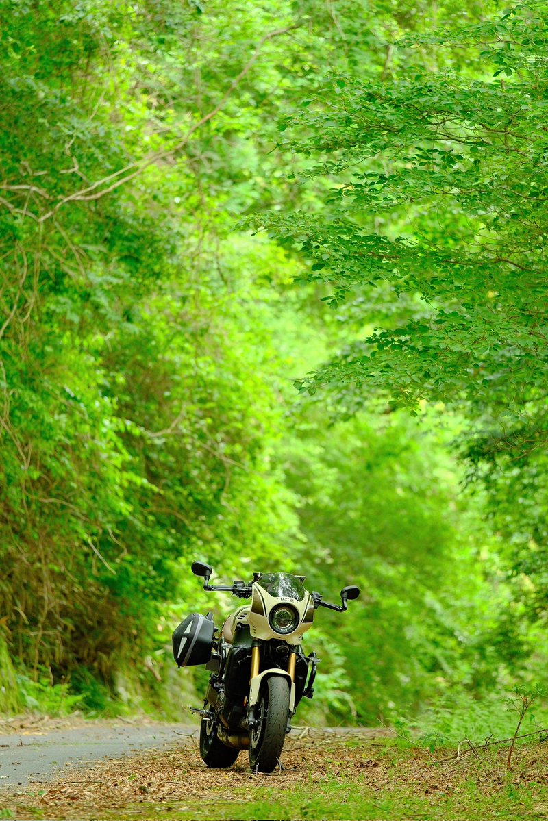 kaiVST's tweet photo. 1ヶ月半以上ぶりのツーリング、良い気候で新緑がきれいでリフレッシュできた！
#XSR900 https://t.co/G4Lgv8UGEy