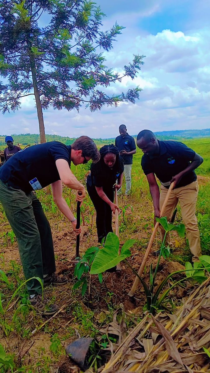 MRIorganization's tweet photo. #worldEnvironment2026 
Let's continue protecting our environment, strengthening community engagement, and advancing Rwanda’s vision of a greener, healthier, and more resilient future for all. https://t.co/FG4fwFpgRN