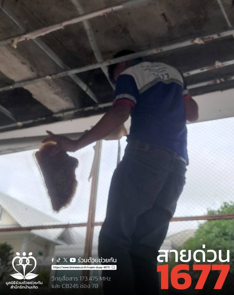 Ruamduay's tweet photo. วันที่ 6 มิ.ย. 69 อาสาร่วมด้วยคุ้มภัย 026,070,071,072 ช่วยเหลือประชาชนกำจัดรังผึ้ง ซอยโพธิ์แก้ว 3 แยก 6 เขตคลองจั่น กรุงเทพฯ พบรังผึ้งโพรงทำรังบริเวณใต้คานปูน อาสาสมัครดำเนินการกำจัดเคลื่อนย้ายให้เป็นที่เรียบร้อย พื้นที่สน.ลาดพร้าว https://t.co/jyX6X6vCrN https://t.co/3PRJdqpxyq
