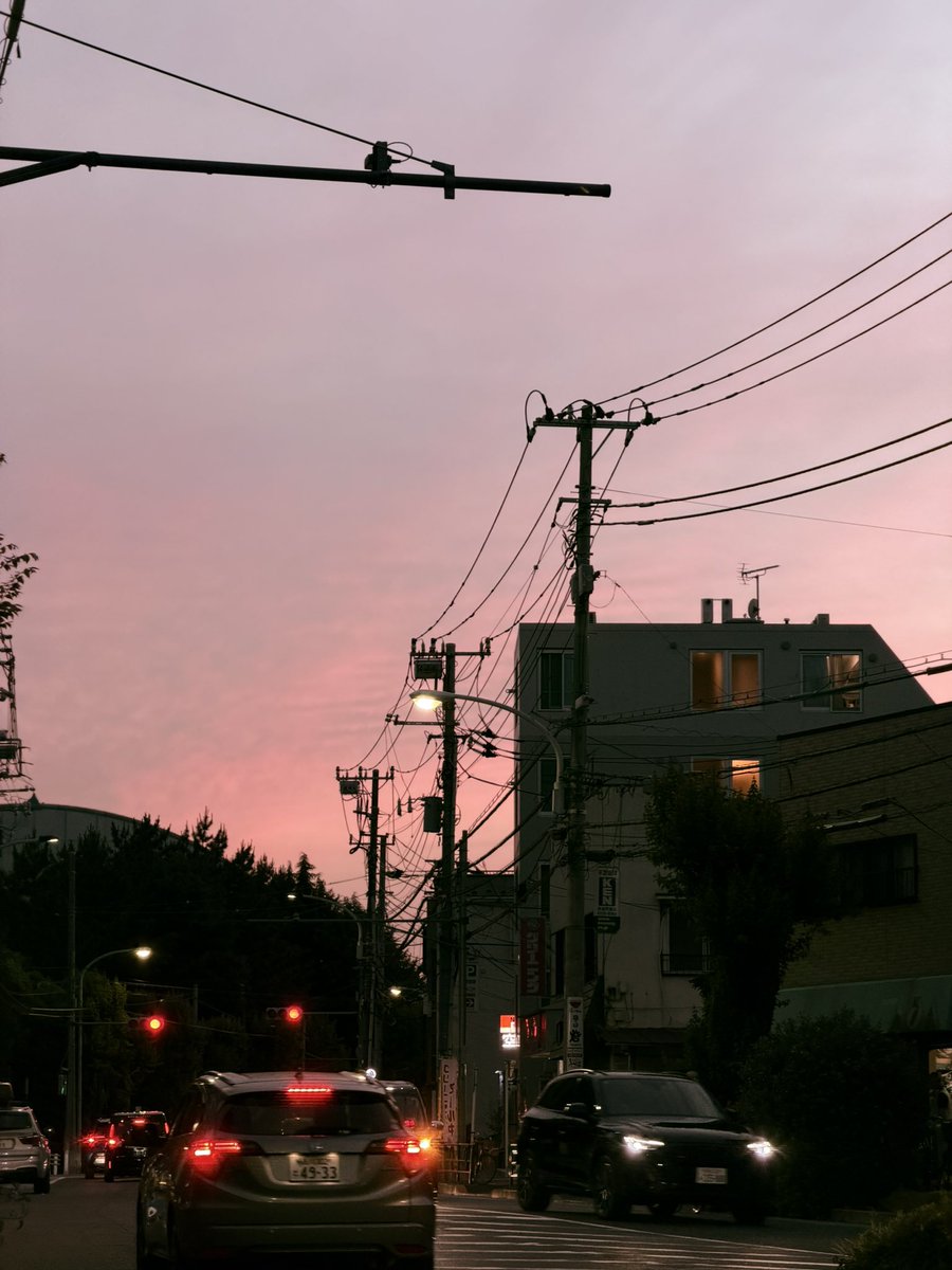 bbissofree's tweet photo. 🌈 https://t.co/px6MsyAMuc