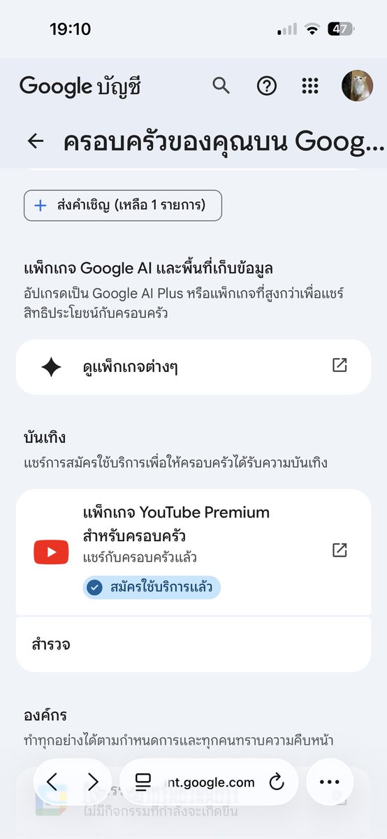Phupha9's tweet photo. หาคนหาร youtube premium 67 บาท/เดือน ใช้ได้เลย เปิดมานานแล้วครับ

#หารyoutube #หารยูทูปพรีเมียม #หารยูทูป
#หารYouTubePremium
#หารYouTubePremiumราคาถูก https://t.co/a4pDAjWZZm