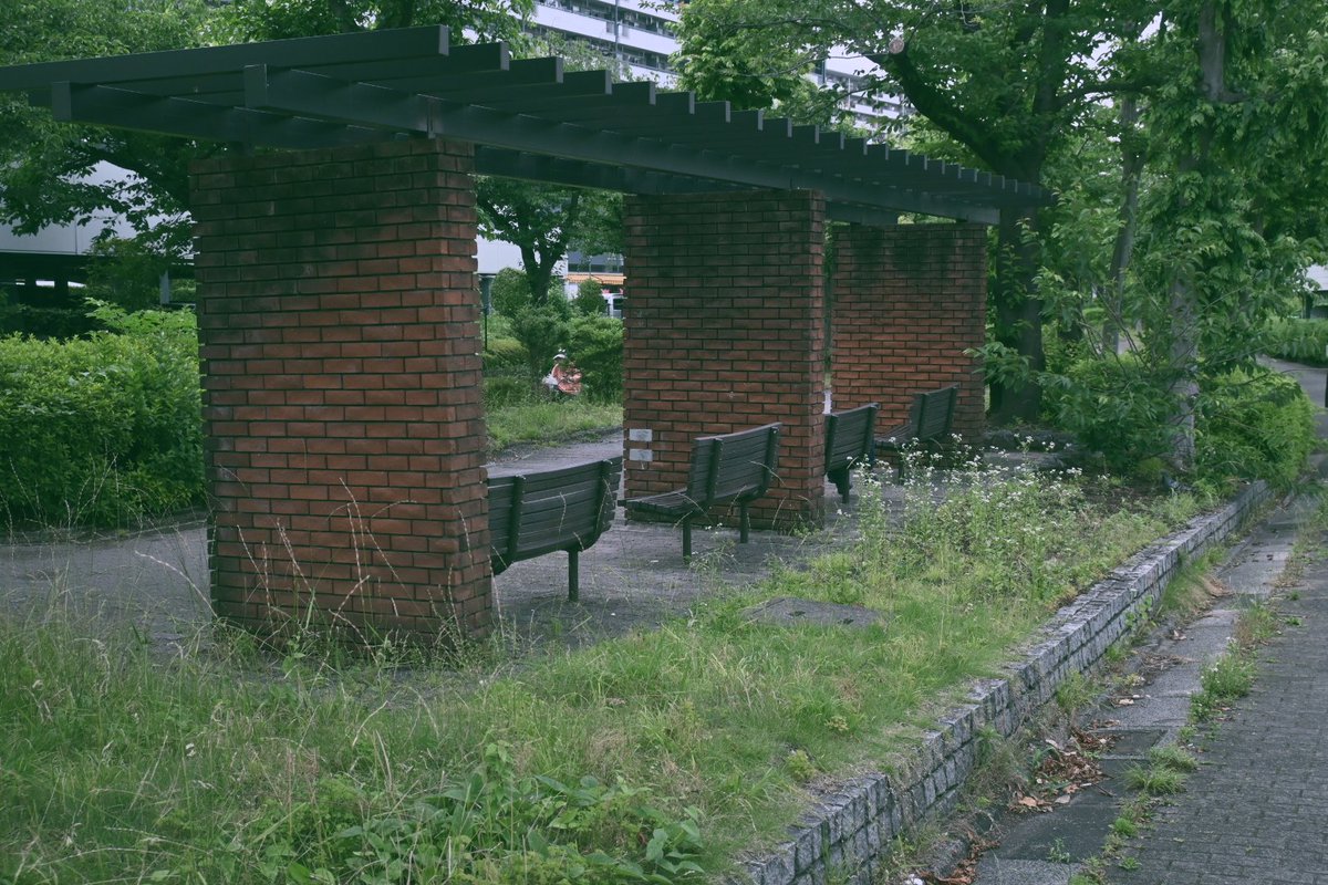 ____356c's tweet photo. 便利な世の中だからこそ、
「自分で見つける体験」の喜びに繋がる趣味を
持つ人が増えるのかな、
失敗も成功も含めて過程を取り戻すという経験﹏✍ https://t.co/LHSur05IQw