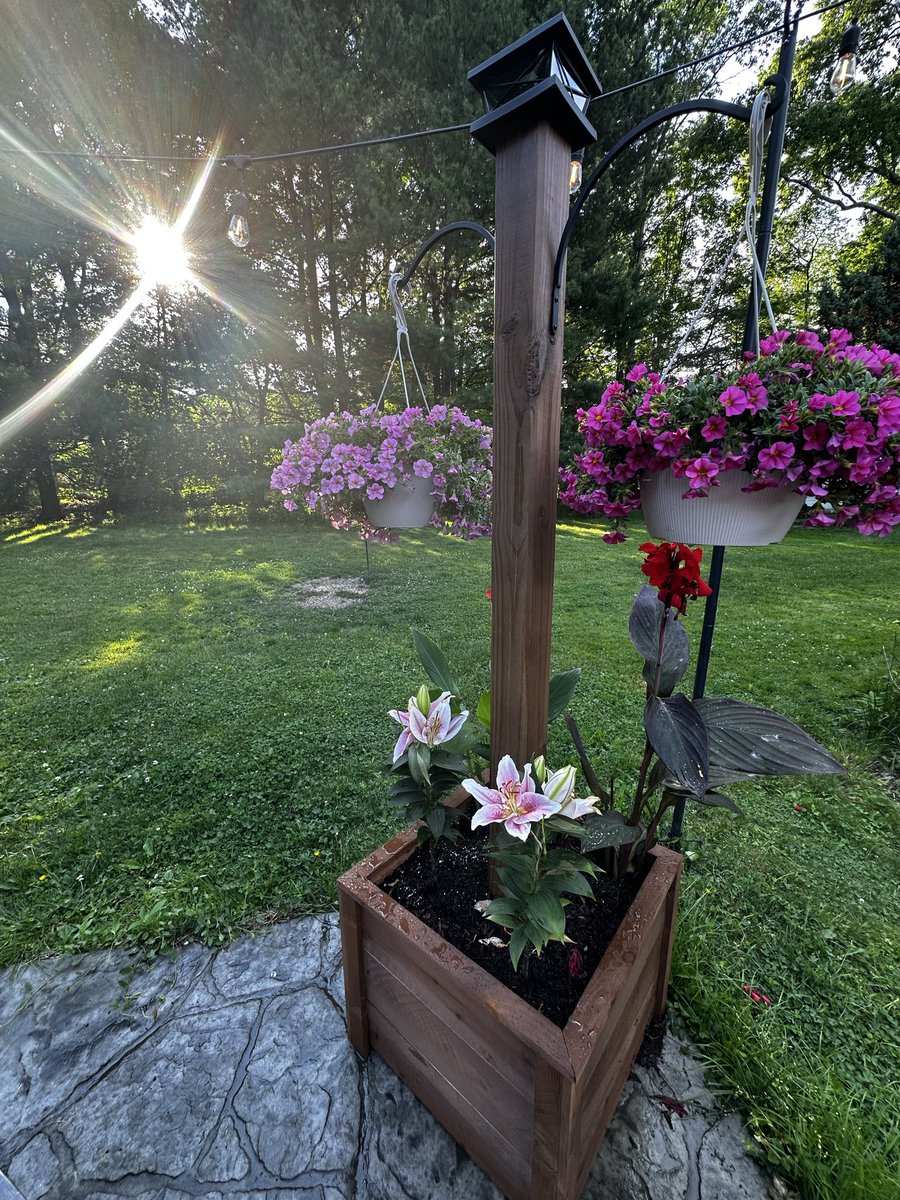 profbkelley's tweet photo. Beautiful Saturday morning at sunrise ☀️!

☕️ &amp; 🔥 with my ❤️ 

#morningjava #SaturdayVibes #patioambiance https://t.co/IEqgKkbzXx