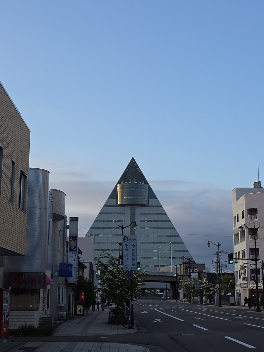 shingata_cold's tweet photo. 柳京ホテルの幼体 https://t.co/GB3SICf3ze