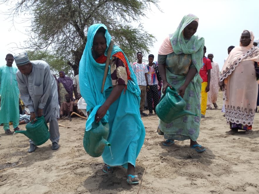 PNUD_Tchad's tweet photo. 🌱 500 producteurs des provinces du Lac et du Hadjer Lamis renforcent leurs compétences en techniques agricoles durables, adaptées aux réalités du #BassinDuLacTchad.

Un investissement dans la sécurité alimentaire, les moyens de subsistance et la résilience des communautés.

#Stabilisation #AgricultureDurable