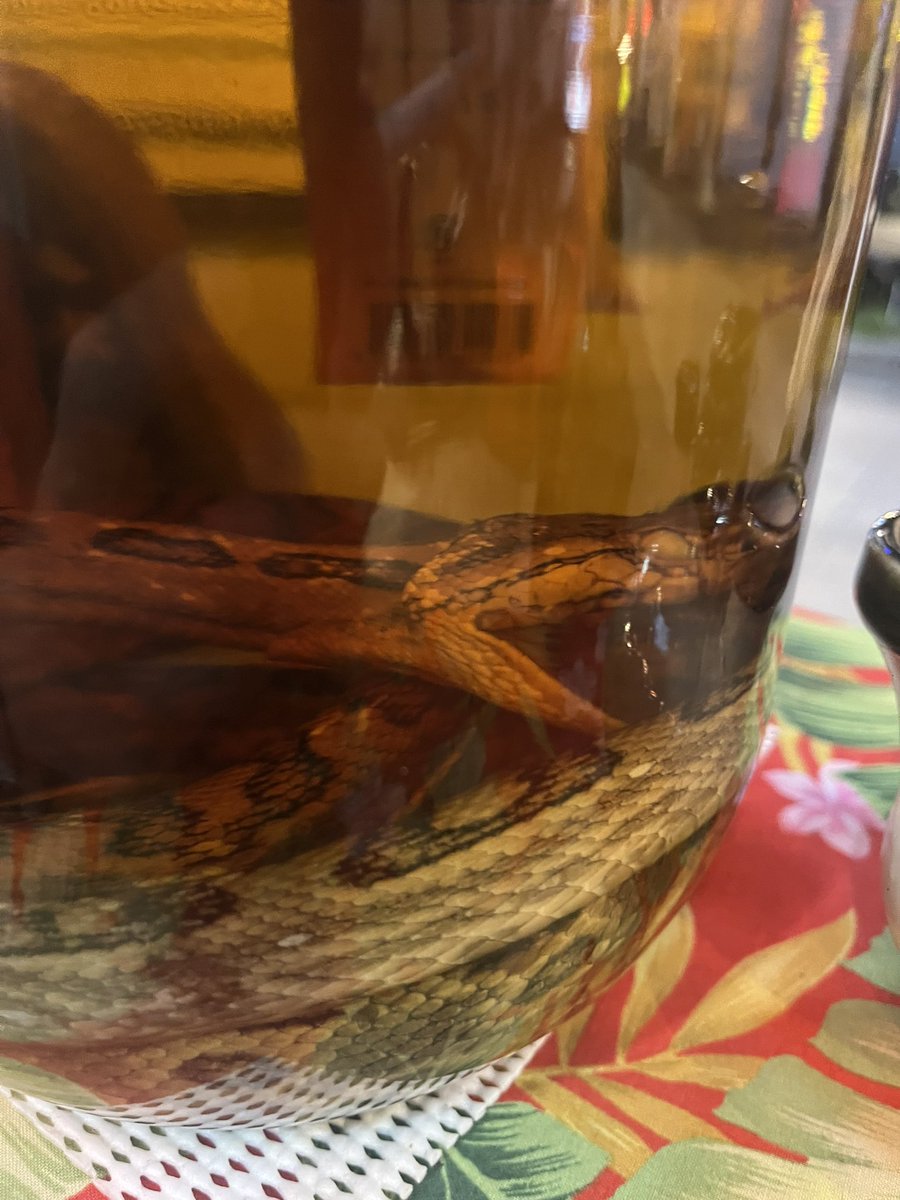 wayousex's tweet photo. 酒飲む仕事で酒嫌いになるのに
プラベで飲む酒がうますぎてアル中 https://t.co/Jf8doBOJT9