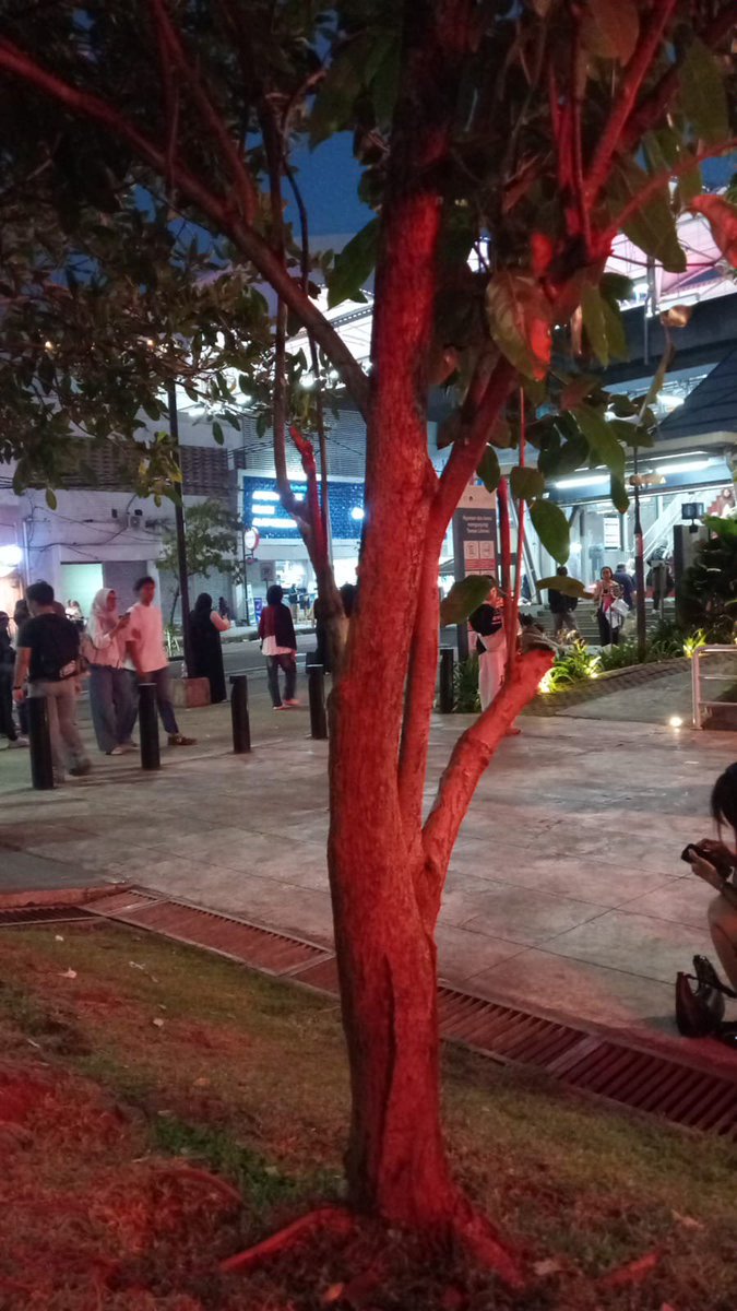edeesna's tweet photo. ternyata ada temenku di sekitaran sini😭 kurang komunikasi https://t.co/RiUOvOVcBc