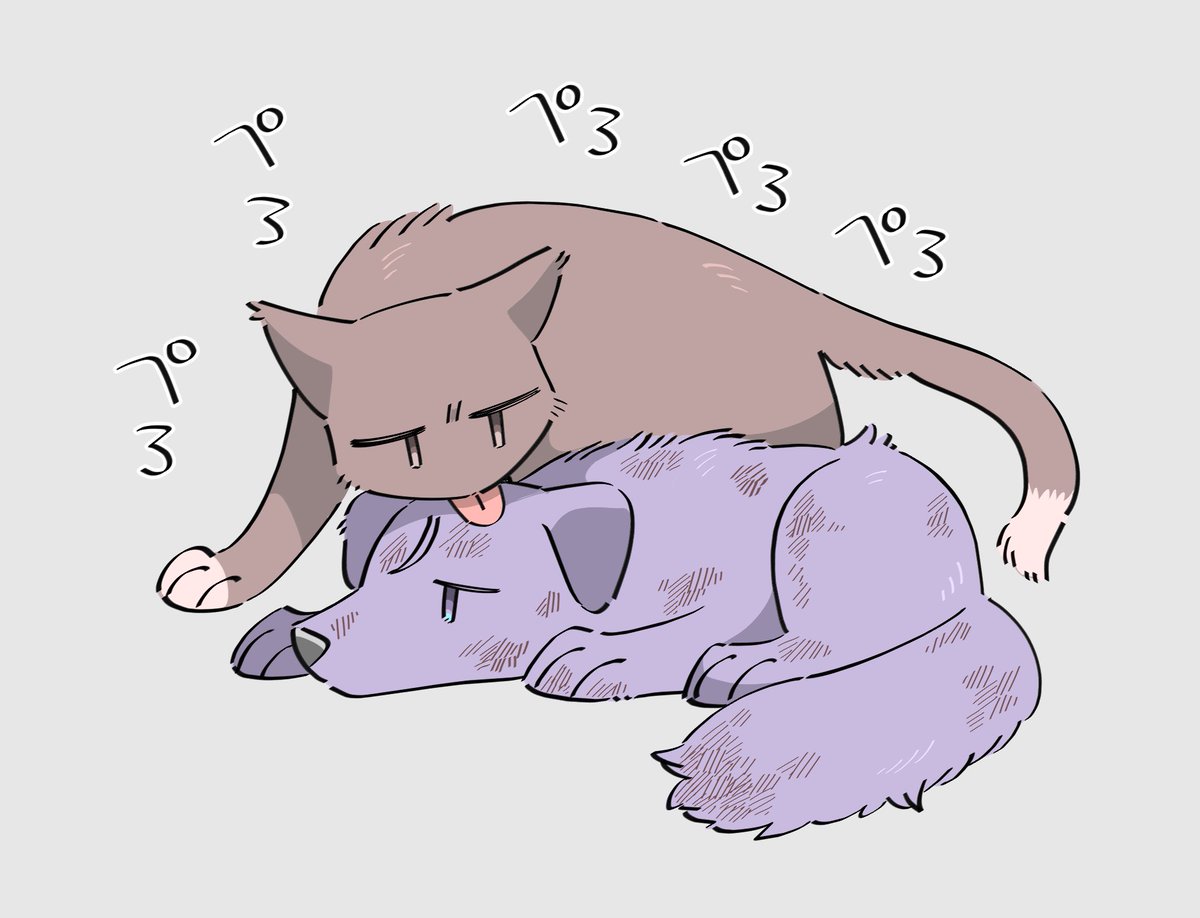 1stfooom's tweet photo. 保護したての頃と今🐺❄🐈🎨 https://t.co/3G0geh6BRR