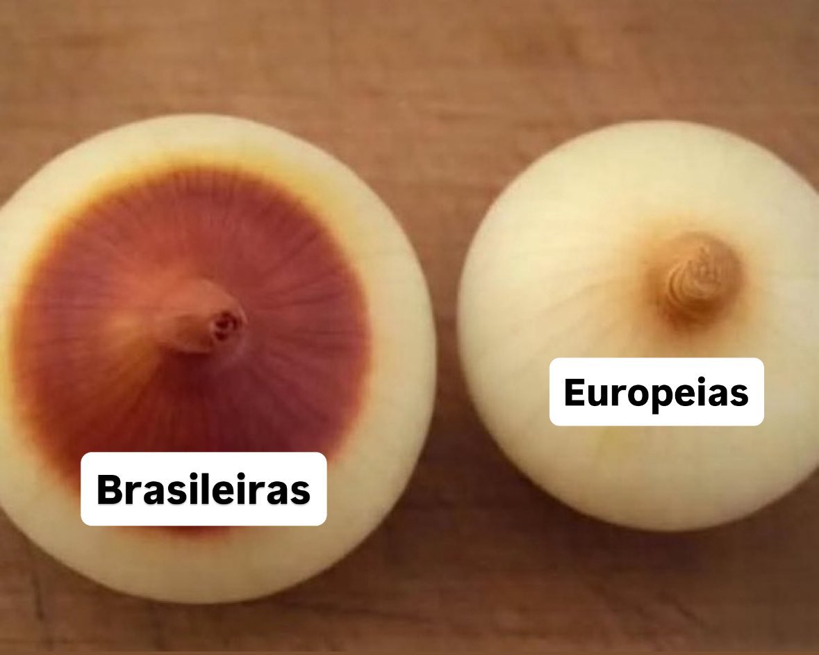 6meperdoa's tweet photo. Só vai entender quem já brocou nas europeias 👇 https://t.co/gBIKe7TZkM