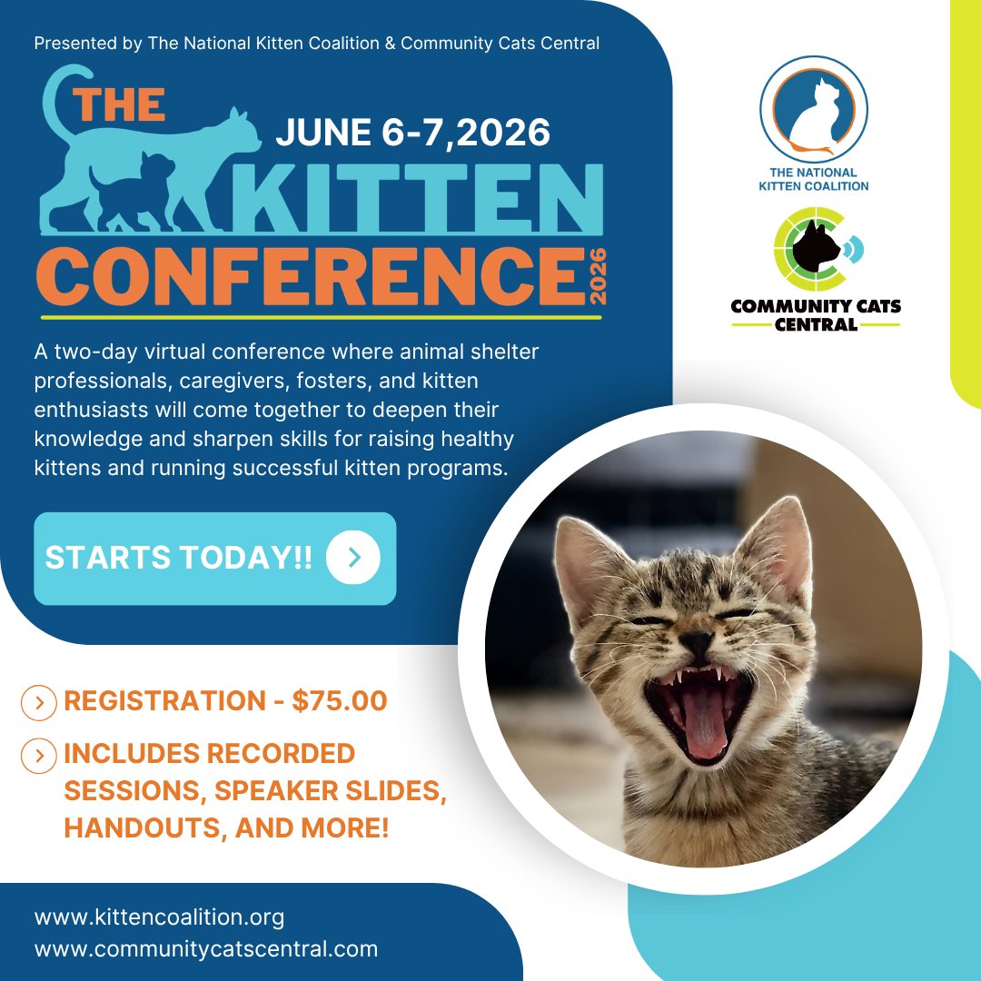 NationalKitten's tweet photo. The Kitten Conference 2026 starts TODAY, June 6–7! 
Two full days of expert speakers, practical skills, and everything you need to save more kittens.
Virtual, join from anywhere!
https://t.co/DWsR15VyCm

#KittenConference2026 https://t.co/QdjGvlPS5v