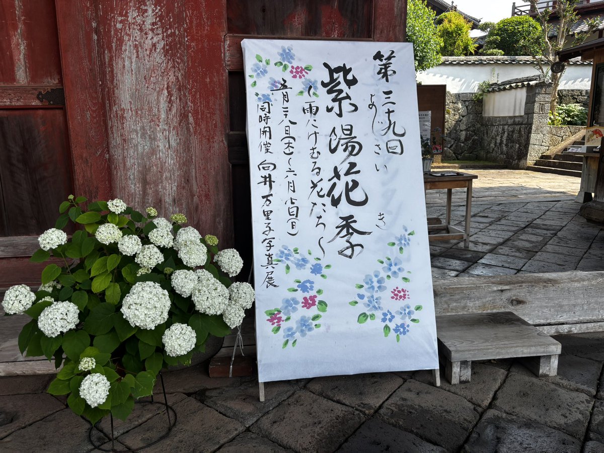 mackey43res's tweet photo. ミッション途中に興福寺の紫陽花祭りに立ち寄りました。
#興福寺 https://t.co/DWekhqVdDT