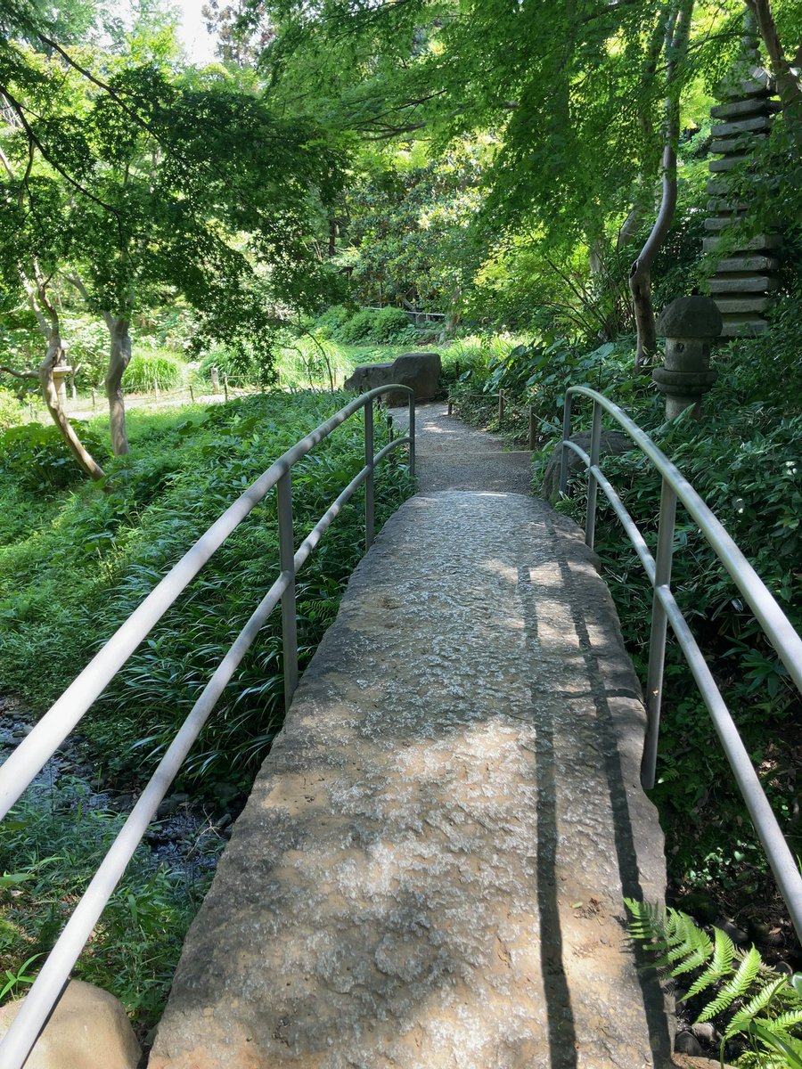 eda00's tweet photo. 三溪園、初めて行った。
経緯も面白いね。
生糸の輸出から、資産家になってここができたと。 https://t.co/4D57lf3SP6