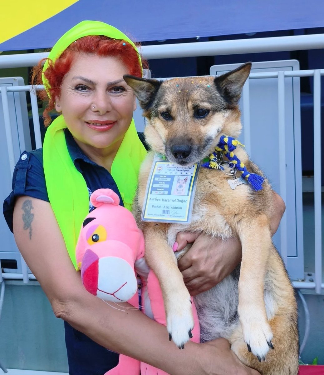 lemarcaspors_'s tweet photo. Fenerbahçe kongre üyesi bir köpek https://t.co/Pko1Ru9hcm