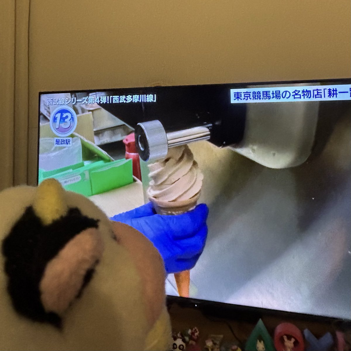 VINUSHKA0109's tweet photo. あ…！
モカソフトっ…！🍦
#ソフト牛
#東京競馬場 https://t.co/obyd0nM5G2