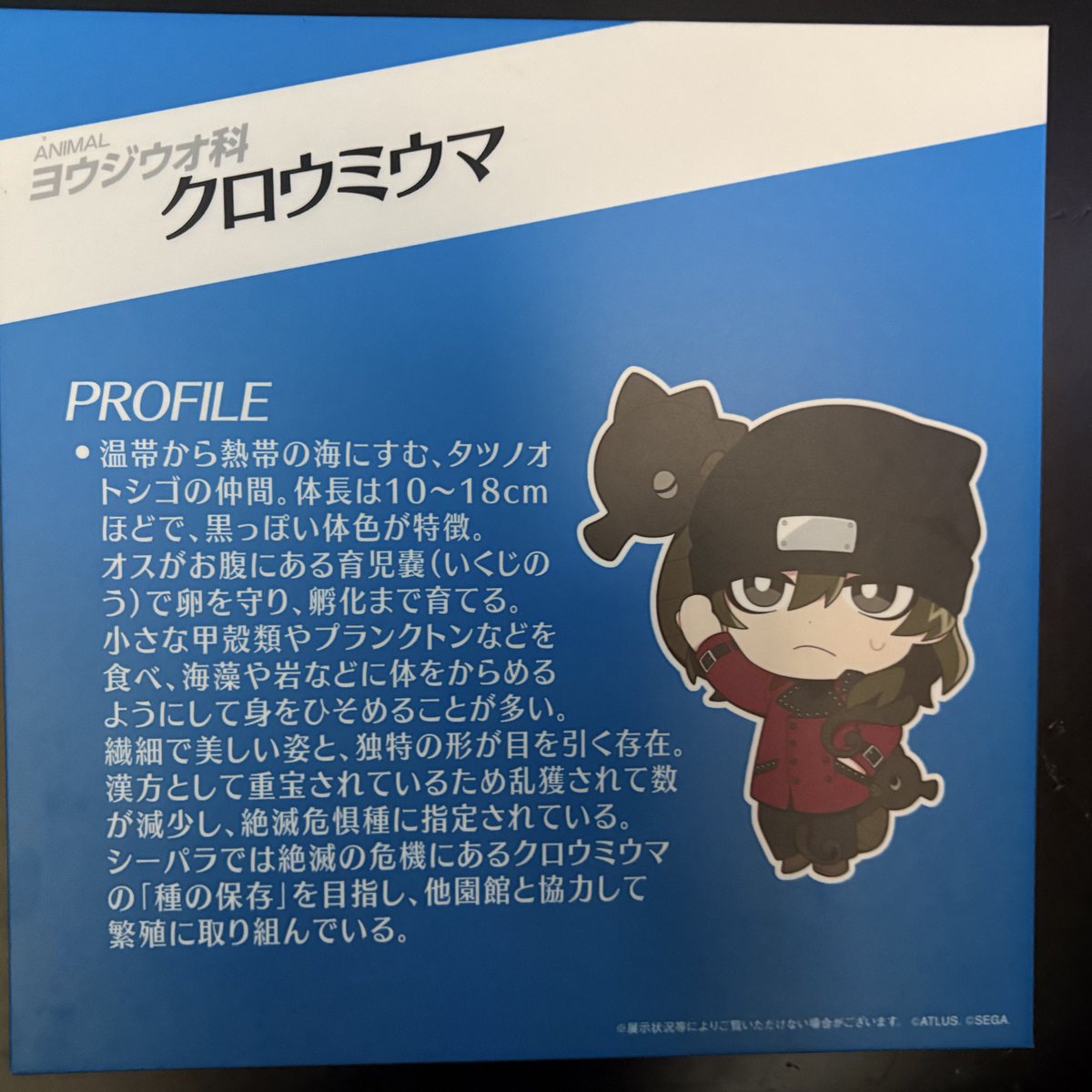 mayunkel's tweet photo. ペルソナシーパラ今回も行ってきた‼️どこ行ってもペルソナシリーズのBGM流れてて本当に楽しかったアトラス大好きです……P3の苦しいエンディングまでプレイしてくれたはるぴありがとう、友達とペルソナの推し活ができるなんて夢のまた夢なんだよ https://t.co/PbQ7IC1rtq