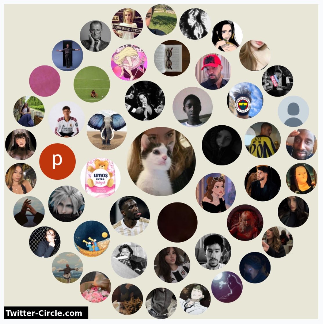  ✮ tweet media