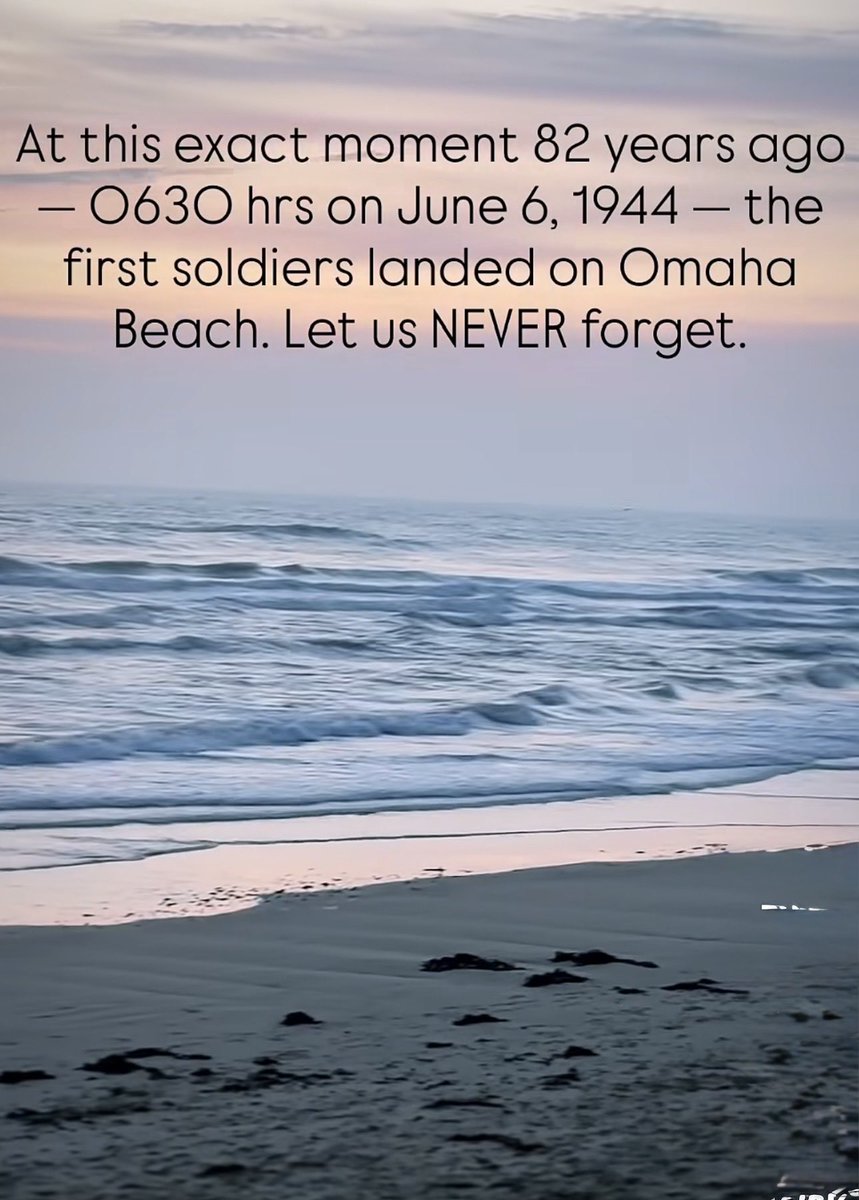 michaelt5656's tweet photo. NEVER FORGET! 🇺🇸🇺🇸🇺🇸🇺🇸🇺🇸🇺🇸🇺🇸 https://t.co/b7XX5KzGYH