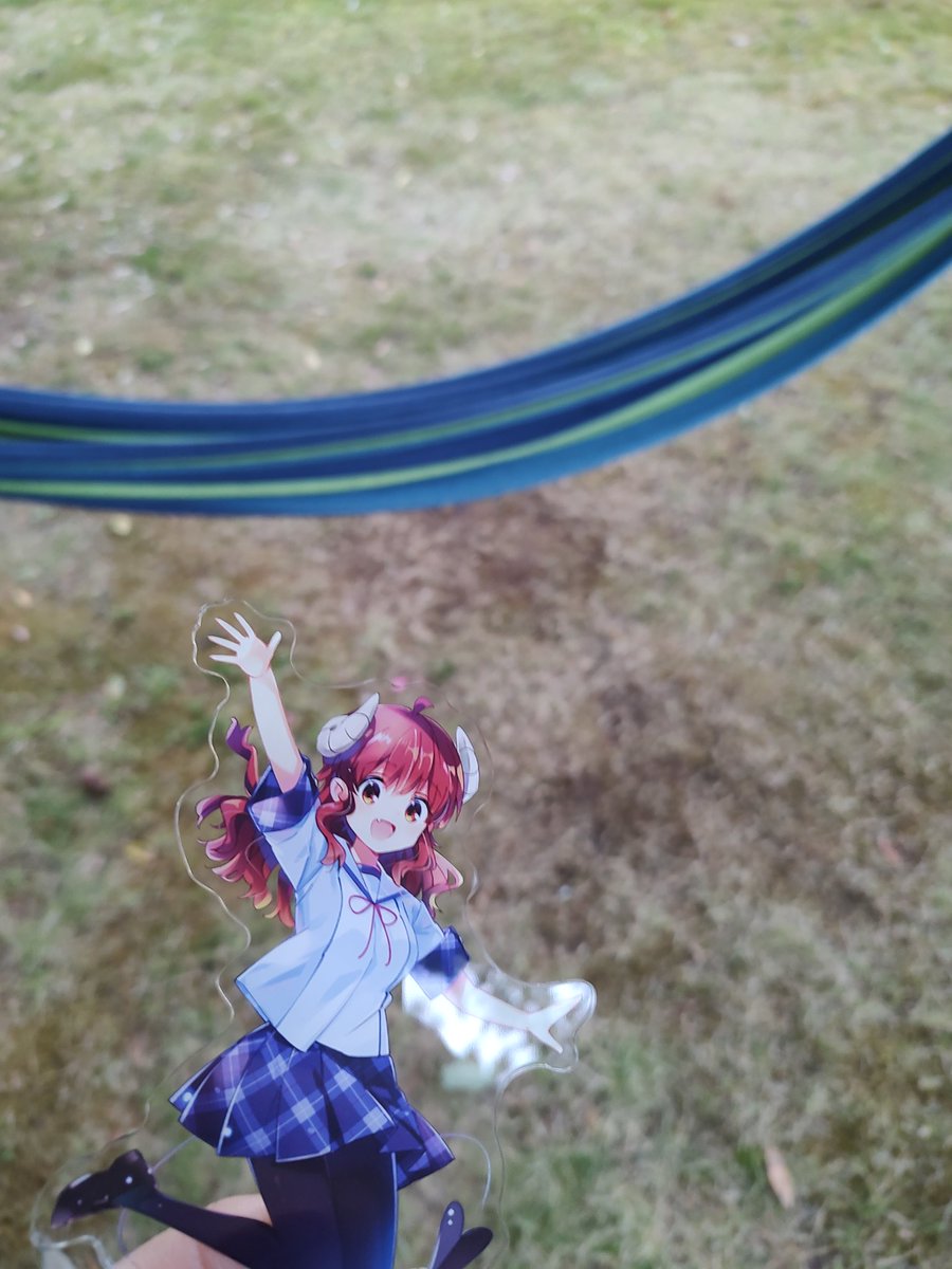 ヒナゲシ tweet media
