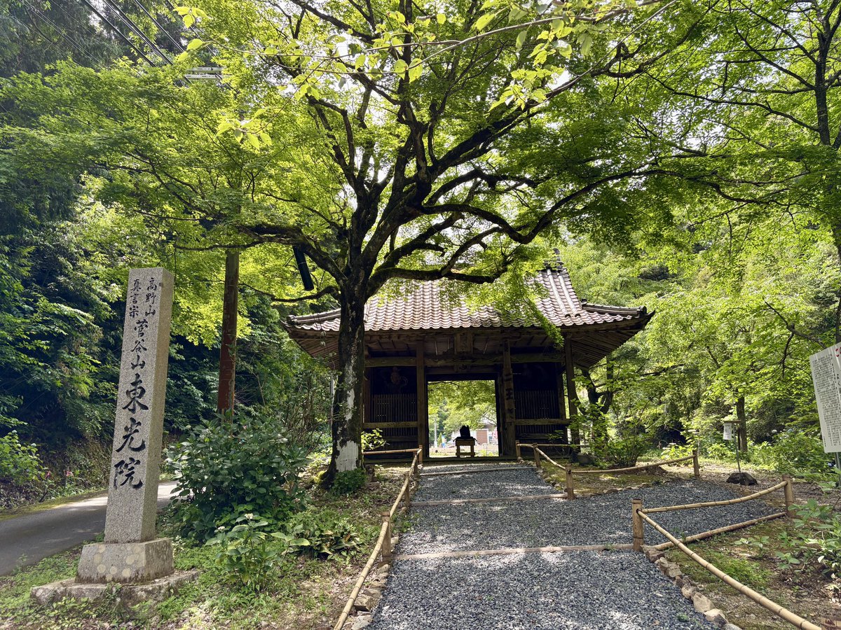 mercury_gray's tweet photo. 東光院
紫陽花と風鈴のお寺
#東光院 #紫陽花 #あじさい #風鈴 #写真撮っている人と繋がりたい https://t.co/2tXJNQHktf