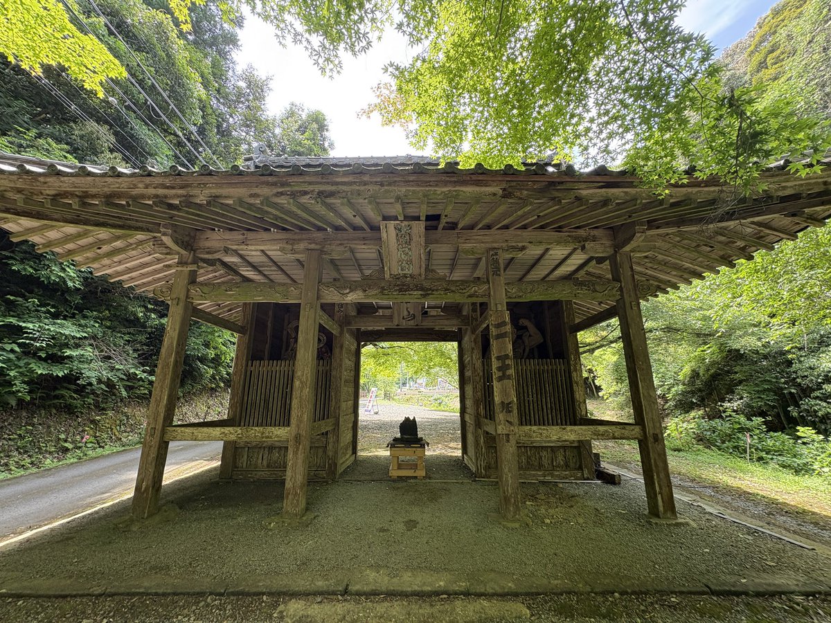 mercury_gray's tweet photo. 東光院
紫陽花と風鈴のお寺
#東光院 #紫陽花 #あじさい #風鈴 #写真撮っている人と繋がりたい https://t.co/2tXJNQHktf